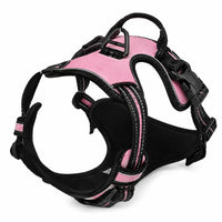 Harnais pour Chien Anti-Traction Kanvo™