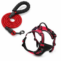 Harnais pour Chien Anti-Traction Kanvo™