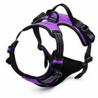 Harnais pour Chien Anti-Traction Kanvo™