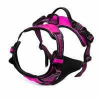 Harnais pour Chien Anti-Traction Kanvo™