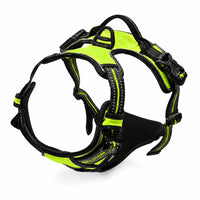 Harnais pour Chien Anti-Traction Kanvo™