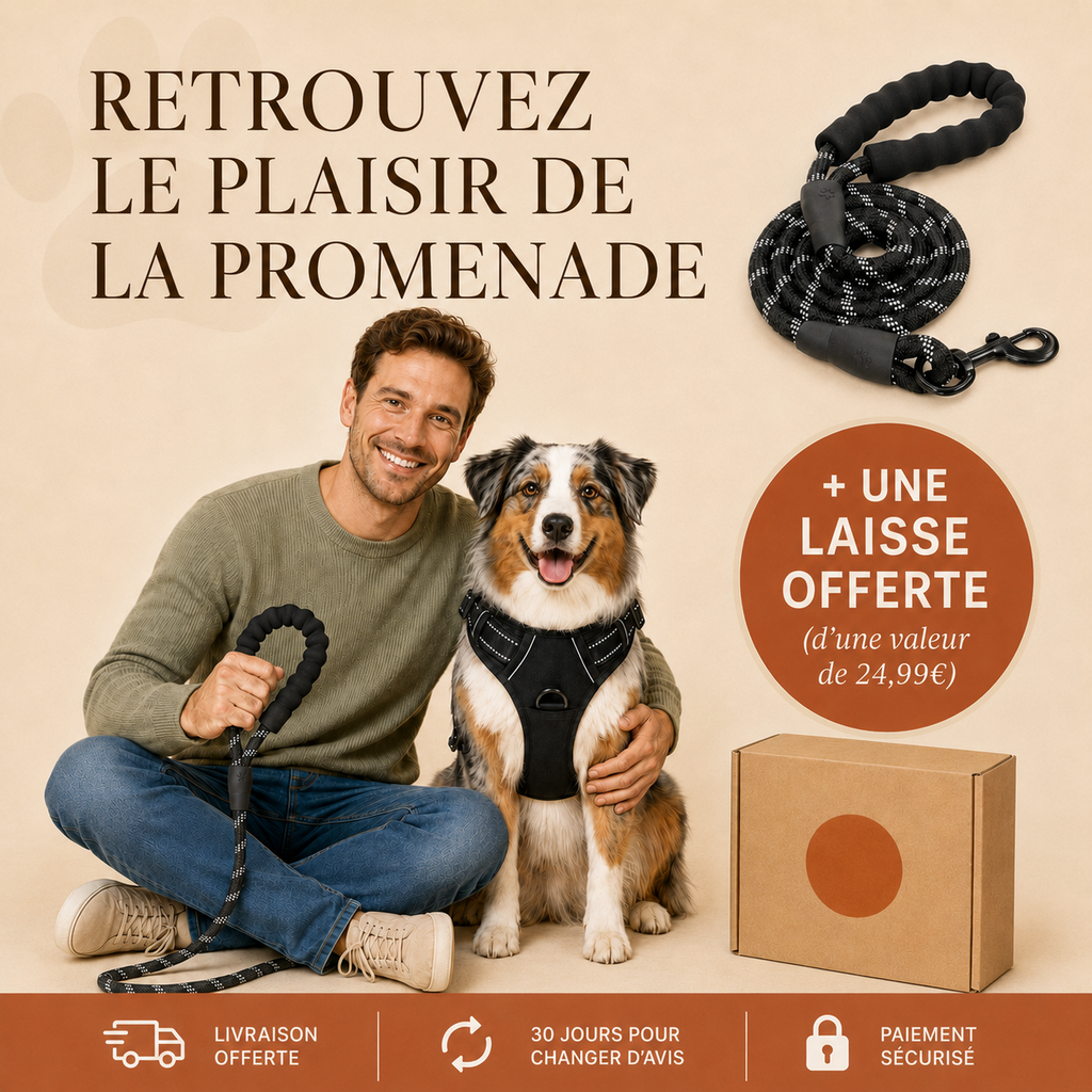 Harnais pour Chien Anti-Traction Kanvo™