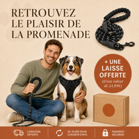 Harnais pour Chien Anti-Traction Kanvo™