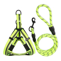 Harnais Anti-Traction Personnalisable Kanvo™