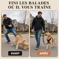 Harnais pour Chien Anti-Traction Kanvo™