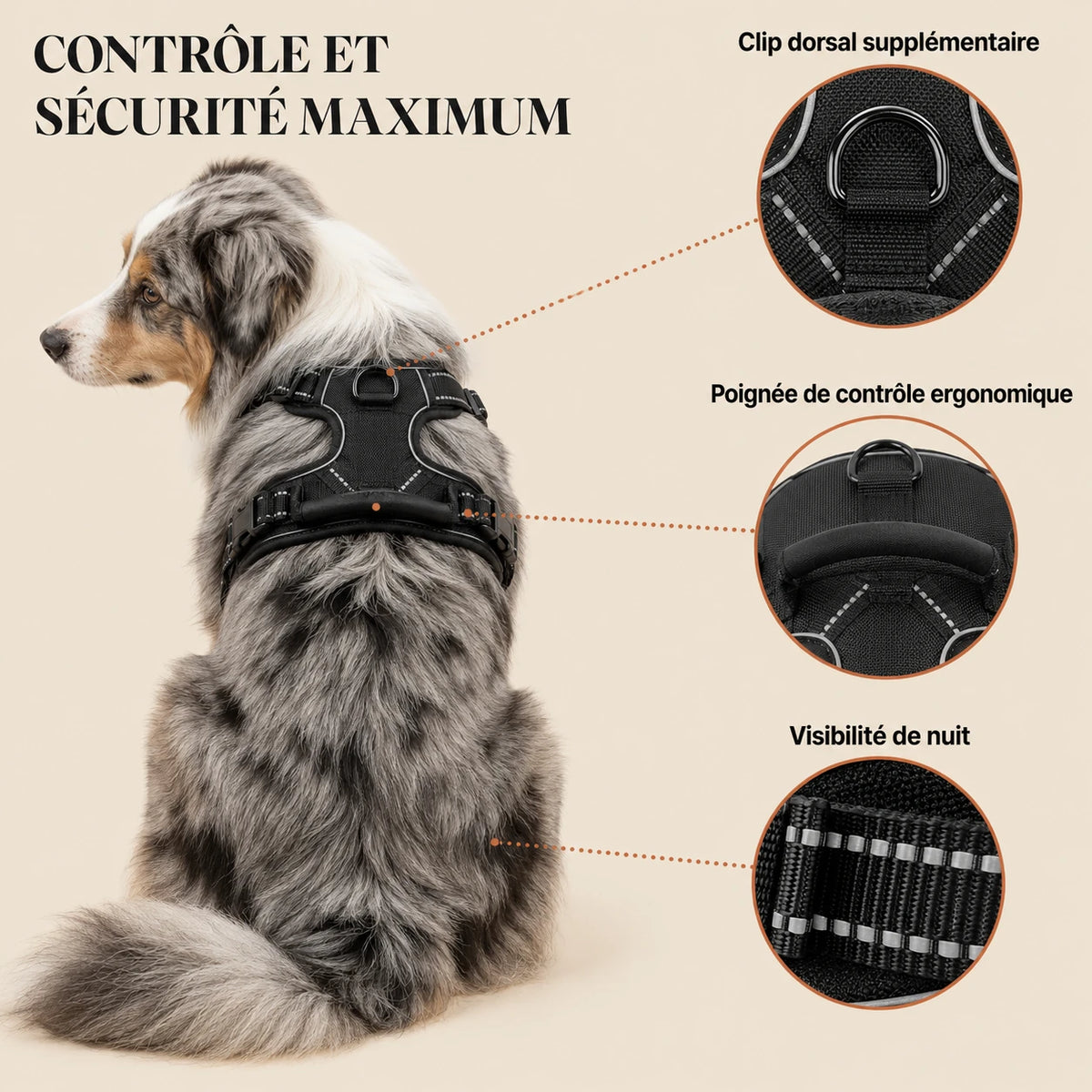 Harnais pour Chien Anti-Traction Kanvo™