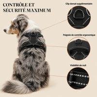Harnais pour Chien Anti-Traction Kanvo™