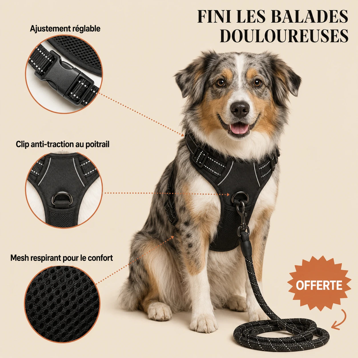 Harnais pour Chien Anti-Traction Kanvo™