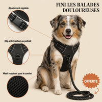 Harnais pour Chien Anti-Traction Kanvo™