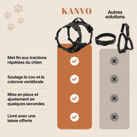Harnais pour Chien Anti-Traction Kanvo™