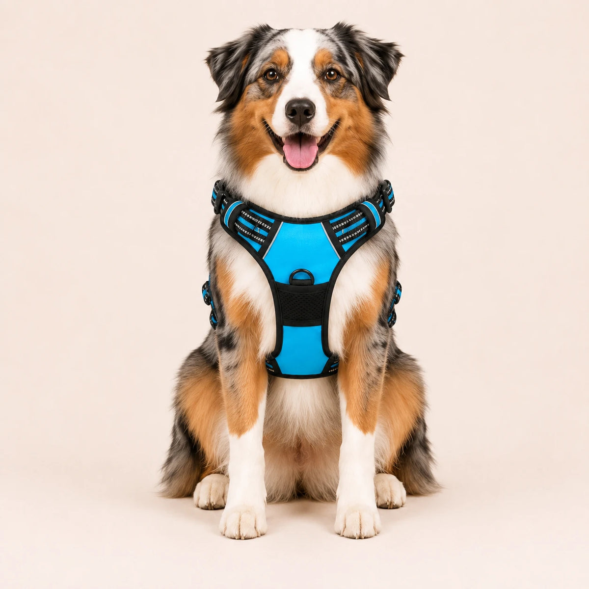 Harnais pour Chien Anti-Traction Kanvo™