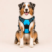 Harnais pour Chien Anti-Traction Kanvo™