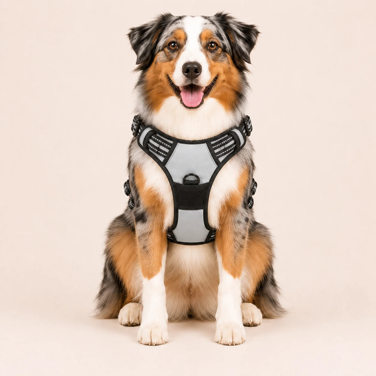 Harnais pour Chien Anti-Traction Kanvo™
