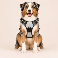 Harnais pour Chien Anti-Traction Kanvo™