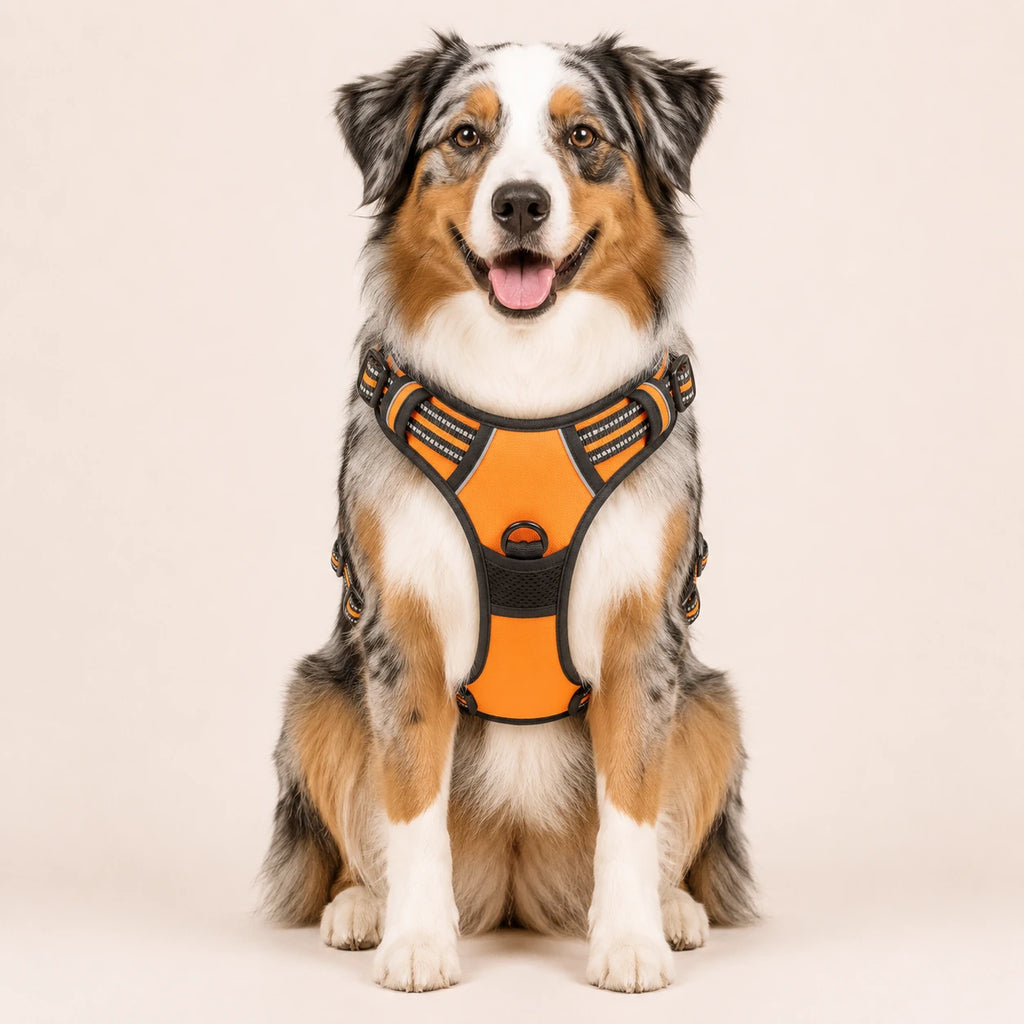 Harnais pour Chien Anti-Traction Kanvo™
