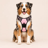 Harnais pour Chien Anti-Traction Kanvo™