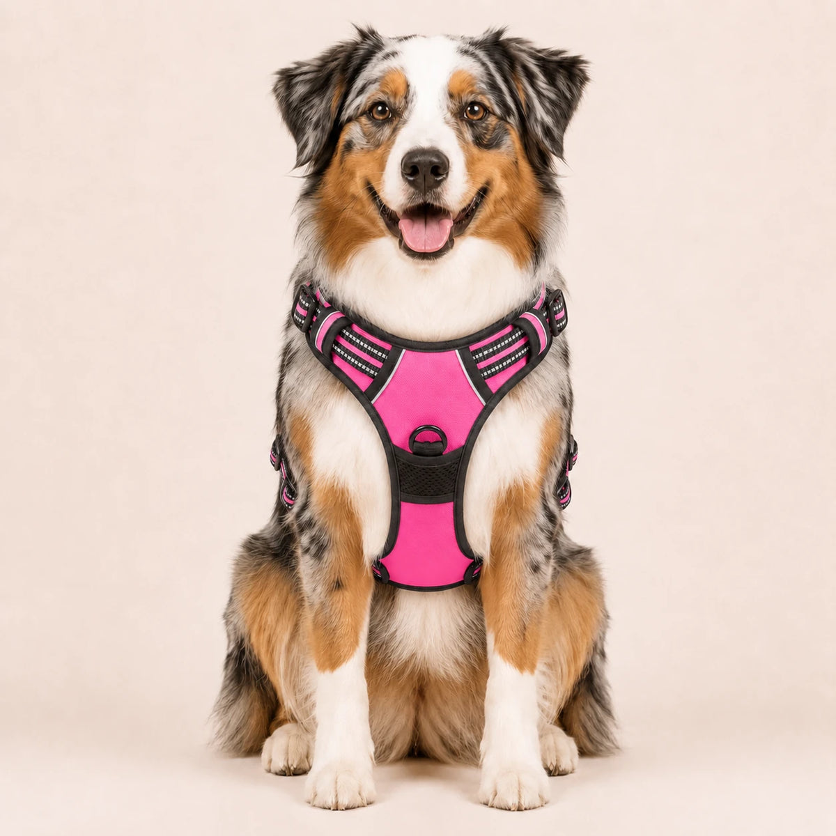Harnais pour Chien Anti-Traction Kanvo™
