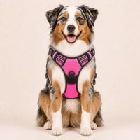 Harnais pour Chien Anti-Traction Kanvo™
