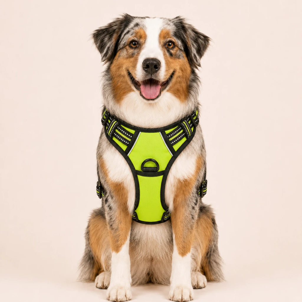 Harnais pour Chien Anti-Traction Kanvo™