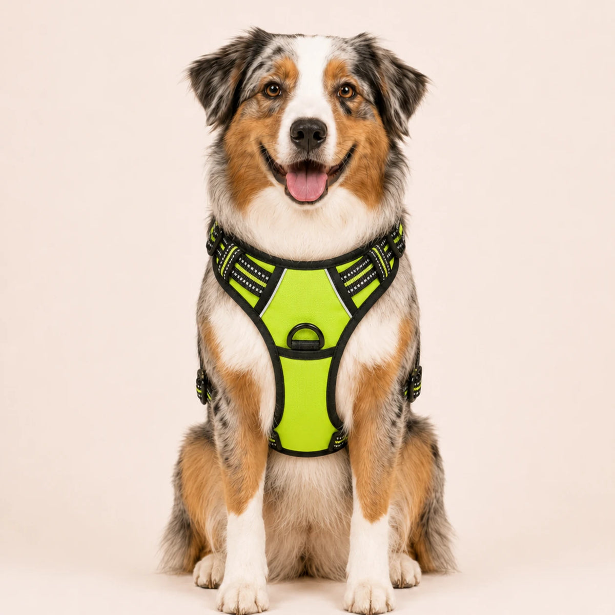 Harnais pour Chien Anti-Traction Kanvo™