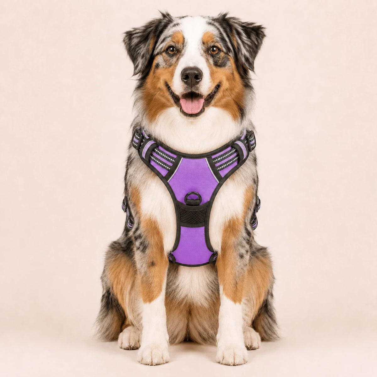 Harnais pour Chien Anti-Traction Kanvo™