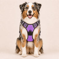 Harnais pour Chien Anti-Traction Kanvo™